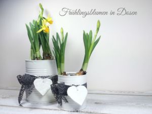 Holt euch den Frühling mit diesem selbstgemachten Blumentopf in die Wohnung... fruehlingsblumen-dosenuebertopf-selbstgemacht